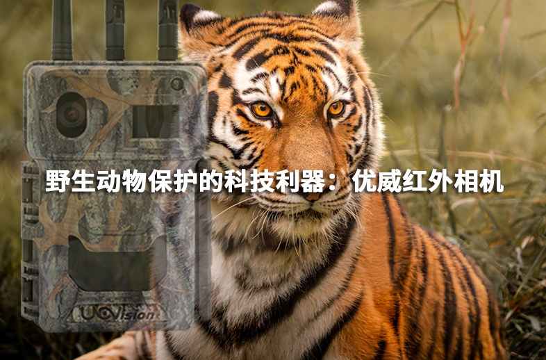 “反盜獵神器”守護野生動物安全——優威紅外相機
