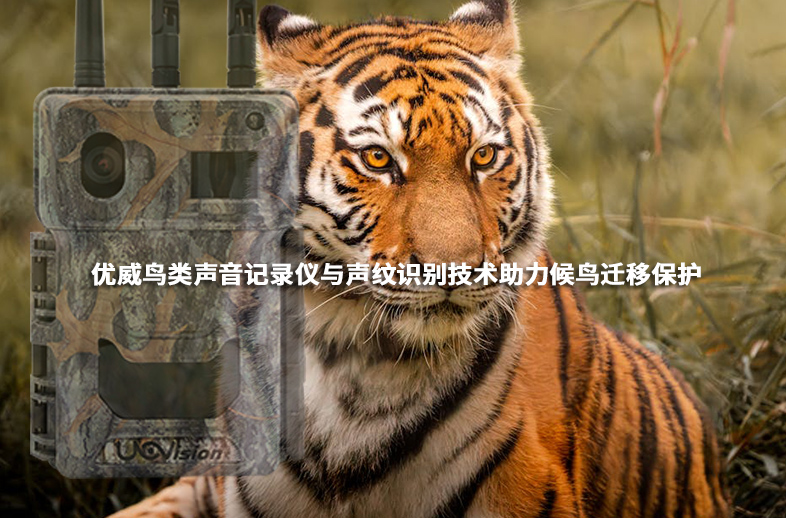 優(yōu)威鳥類聲音記錄儀與聲紋識別技術助力候鳥遷移保護
