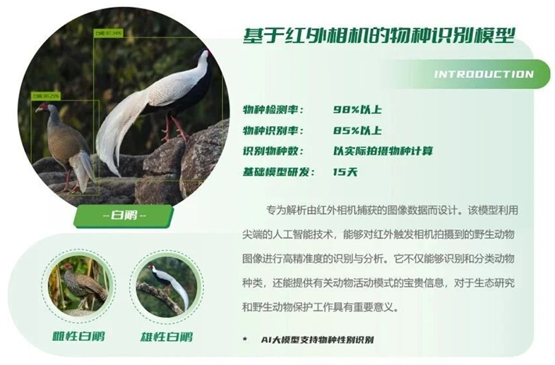 優(yōu)威視訊AI物種識別模型：紅外相機+聲紋技術推動生物多樣性科研進入智能時代